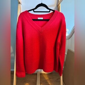 Aritzia Plush Cashmere Oversized Vneck Sweater